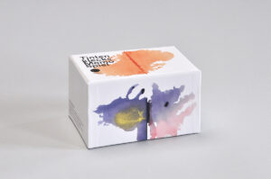 Atelier_Volvox_Klecksmemo_Set_1